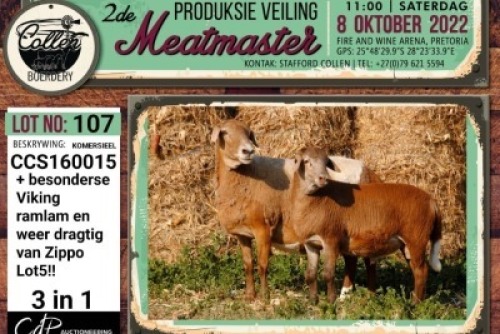LOT 107 1+1X COMMERCIAL MEATMASTER (3-IN-1) OOI/EWE COLLEN BOERDERY
