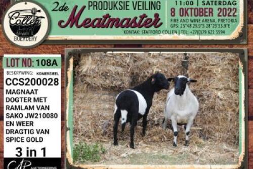 LOT 108 2+2X (3-IN-1) COMMERCIAL MEATMASTER OOI/EWE COLLEN BOERDERY