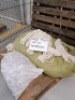 MOP HEADS & STEEL FITTINGS - BALES - 3