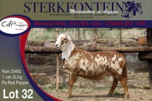 LOT 32 1X MEATMASTER RAM STERKONTEIN MEATMASTERS