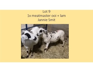 1+1X Meatmaster OOI + LAM Jannie Smit