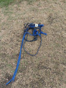 1 x Rope Halter with Lead