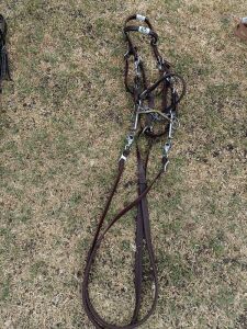 1 x Leather Bridle + Bit