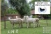 4X MEATMASTER (2) COMMERCIALEWE BADEVEEN TRUST (Pay per piece to take the lot)