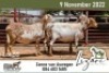 3X MEATMASTER EWE LIZARI MEATMASTERS (Pay per piece to take the lot)