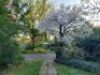 Bokmakierie Guesthouse: - 3