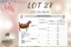 LOT 27 1x KALAHARI RED STUD DOE KROKODILNEST BOERBOKSTOET - 2
