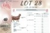 LOT 28 1x KALAHARI RED STUD DOE KROKODILNEST BOERBOKSTOET - 2