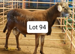 WITHDRAW - LOT 94 1X MEATMASTER RAM CONSENTVLY MEATMASTERS