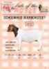 LOT 31 1X BOER GOAT STUD DOE SCHOONHEID BOERBOKSTOET