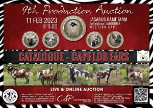 CAPE LOB EAR: LOT 1 - 25 