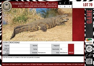 LOT 79A 1 X 3.8 M Crocodile PAMAENONS Brits/Zeerust