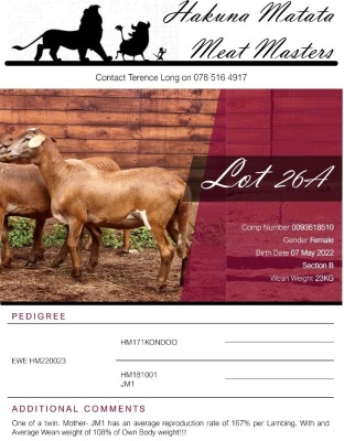 3X EWE HAKUNA MATATA MEATMASTERS (Pay per piece to take the lot)