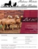 3X EWE HAKUNA MATATA MEATMASTERS (Pay per piece to take the lot) - 3