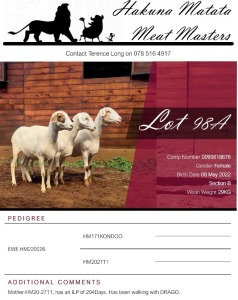 3X EWE HAKUNA MATATA MEATMASTERS (Pay per piece to take the lot)