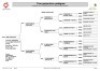1X BOER GOAT STUD DOE LJ DU RAAN & SEUNS - 2