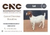 WITHDRAWN - 1X BOER GOAT DOE CNC BOERBOKSTOET