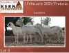 4X EWE KERN MEATMASTERS (Pay per piece to take the lot) - 3