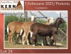 5X EWE KERN MEATMASTERS (Pay per piece to take the lot)