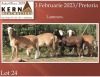 5X EWE KERN MEATMASTERS (Pay per piece to take the lot) - 4