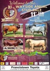 WAYSIDE PDF CATALOGUE LINK