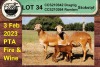 3+1X EWE COLLEN BOERDERY (Pay per piece to take the lot) - 4