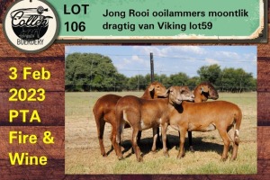 1+2X EWE COLLEN BOERDERY