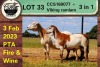 1+1X EWE COLLEN BOERDERY - 5