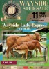 1 x RED BRAHMAN COW WB1994 Ms Lady Express Wayside Brahman Stud