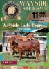 1+1 x RED BRAHMAN COW WITH CALVE WB12826 Ms Express Wayside Brahman Stud