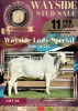 1 x GREY BRAHMAN COW WBS 19745 Ms Special (AI) Wayside Brahman Stud