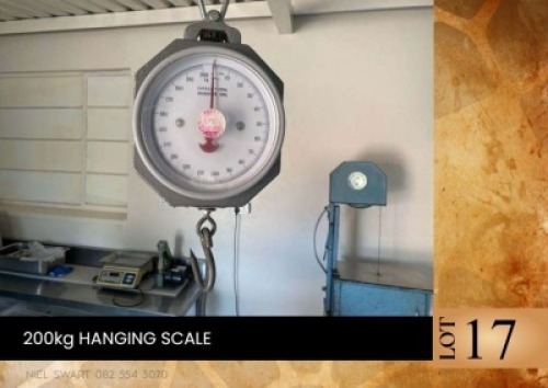 1X 200kg hanging scale