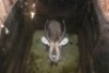 1X WATERBOK M:1 LIMPOPO RIVER RESORT - 2