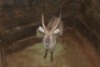 1X WATERBOK M:1 JOHAN ABRI - 2