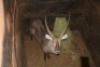 1X WATERBOK M:1 JOHAN ABRI - 2