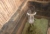 1X WATERBOK M:1 LIMPOPO RIVER RESORT - 2