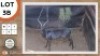 1X ROOIBOK M:1 SEKGWENG GAME BREEDERS