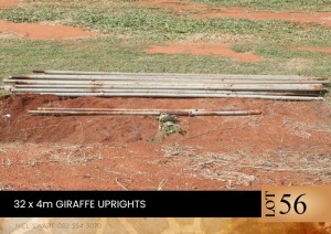 32X 4m Giraffe uprights