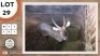 1X WATERBOK M:1 LIMPOPO RIVER RESORT