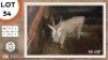 1X ELAND M:1 BOUGASVLEI SAFARIS