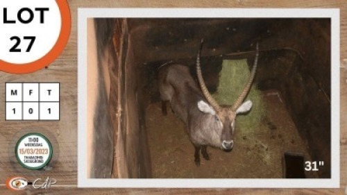 1X WATERBOK M:1 JOHAN ABRI