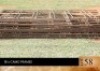 18X Camo frames