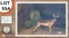 1X SADDLE BACK ROOIBOK M:1 NAZARDI BOERDERY
