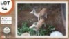2X WHITE FLANK M:2 SWA ZULU (Per Piece to take the lot)
