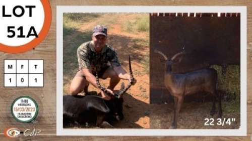 1X SWART ROOIBOK M:1 LOURENS MASSYN
