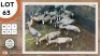 13X BLESBOK M:13 STONE SAFARIS (Per Piece to take the lot)