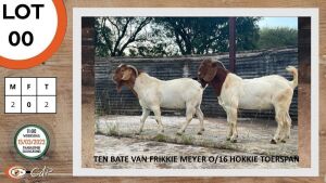 LOT 00 2 X BOERBOK RAMME FONDSINSAMELING (PER STUK OM LOT TE NEEM)