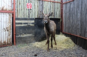 1 X WATERBOK M:1 MBWB1