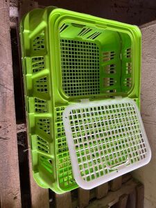 45x Live Bird crates