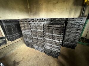 50X Freezer crates (Pay per piece)